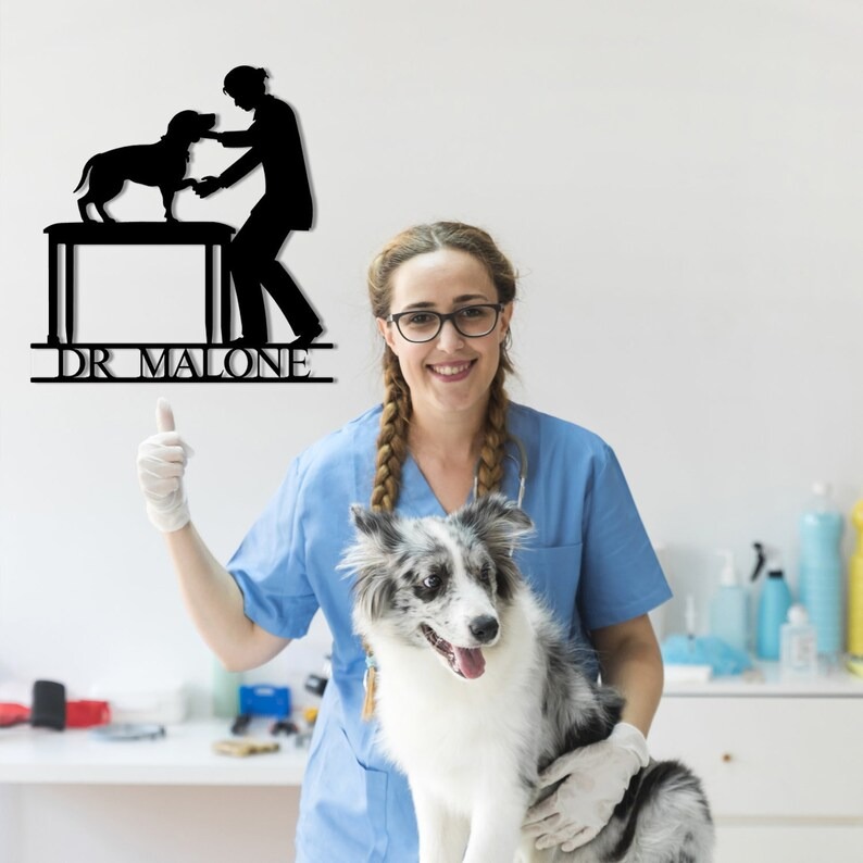 DINOZOZO Veterinary Animal Care Doctor Business Custom Metal Signs