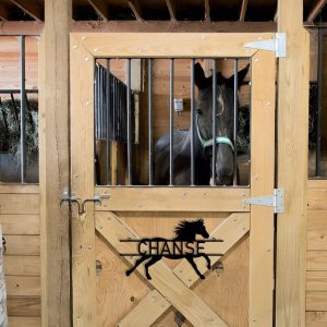 DINOZOZO Horse Stall Name Plate Horse Barn Ranch Custom Metal Signs3