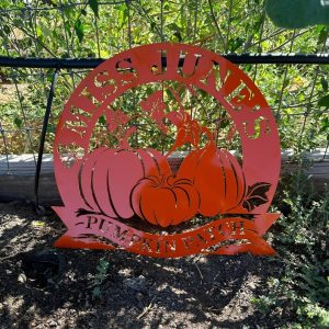 DINOZOZO Pumpkin Patch Fall Garden Custom Metal Signs Gift for Farmer2