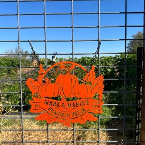 DINOZOZO Pumpkin Patch Fall Garden Welcome Custom Metal Signs Gift for Farmer2