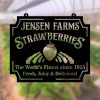 DINOZOZO Strawberry Farm Strawberries Garden Custom Metal Signs Gift for Farmer