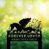 DINOZOZOCOM Personalized Memorial Garden Stakes Angel Pony Horse Sleeping on Daisy Flowers Grave Marker Loss of Pony Horse Sympathy Gifts Pony Horse Cemetary Decor 2