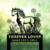 DINOZOZOCOM Personalized Memorial Garden Stakes Dandelion Flowers Pony Horse Grave Marker Loss of Pony Horse Sympathy Gifts Pony Horse Cemetary Decor 1