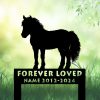 DINOZOZOCOM Personalized Memorial Garden Stakes Pony Horse Standing Grave Marker Loss of Pony Horse Sympathy Gifts Pony Horse Cemetary Decor 1