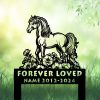 DINOZOZOCOM Personalized Memorial Garden Stakes Poppy Flowers Pony Horse Grave Marker Loss of Pony Horse Sympathy Gifts Pony Horse Cemetary Decor 1