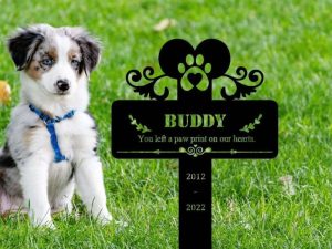 Top Yard Address Sign Ideas to Boost Your Curb Appeal