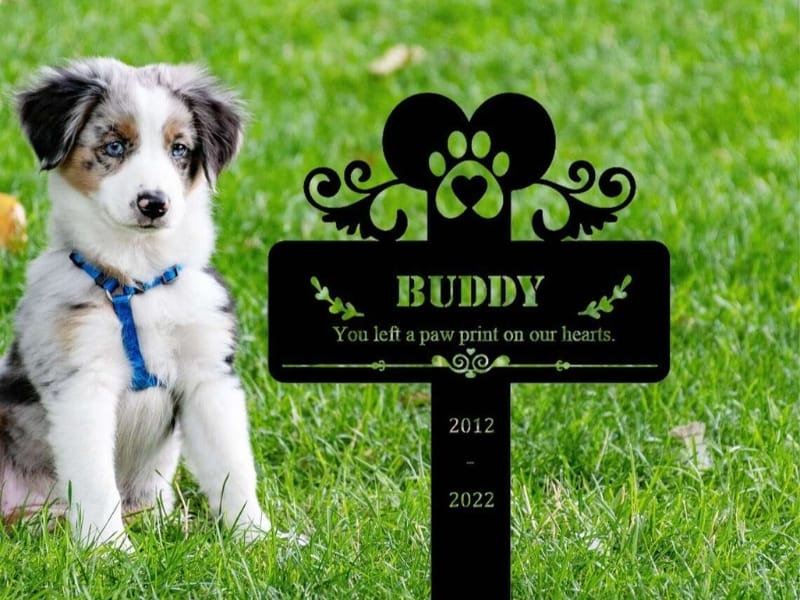 Top Yard Address Sign Ideas to Boost Your Curb Appeal
