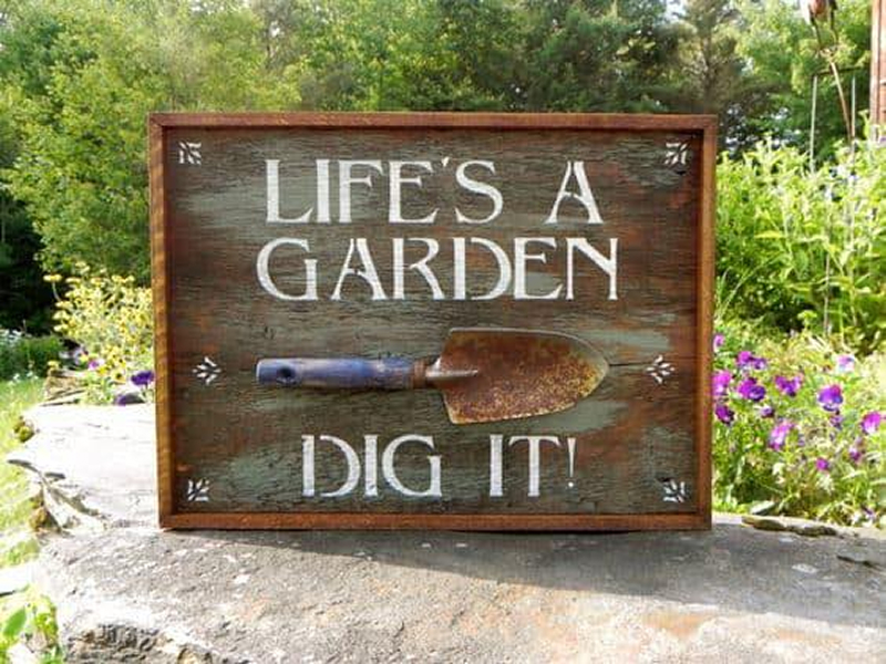 488254826 1073681111469392 6522089159062003659 n 1 Life's a garden - Dig it!