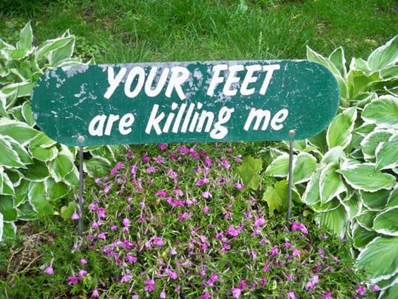 489042288 1073681114802725 839440114901887843 n 1 Your feet are killing me.