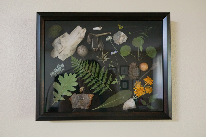 Shadow Boxes