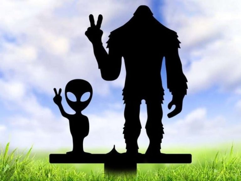 ideas-graduation-yard-sign-for-high-school-grads