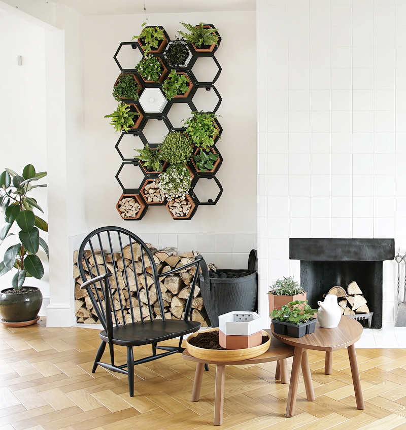 horticus living planted Play with Plants