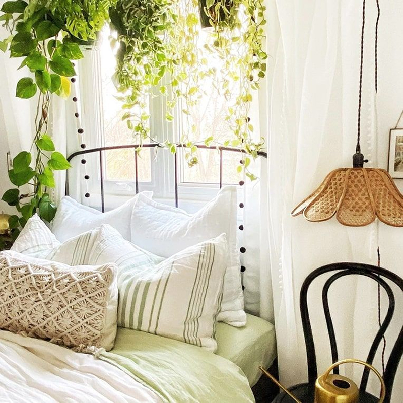 plants above your bed Plants above your bed