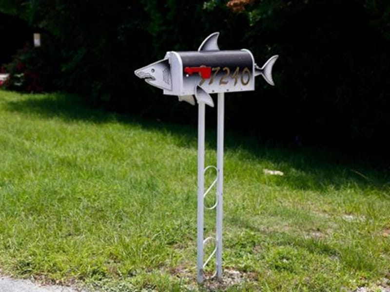 Where to put numbers on a mailbox – Dinozozo guide