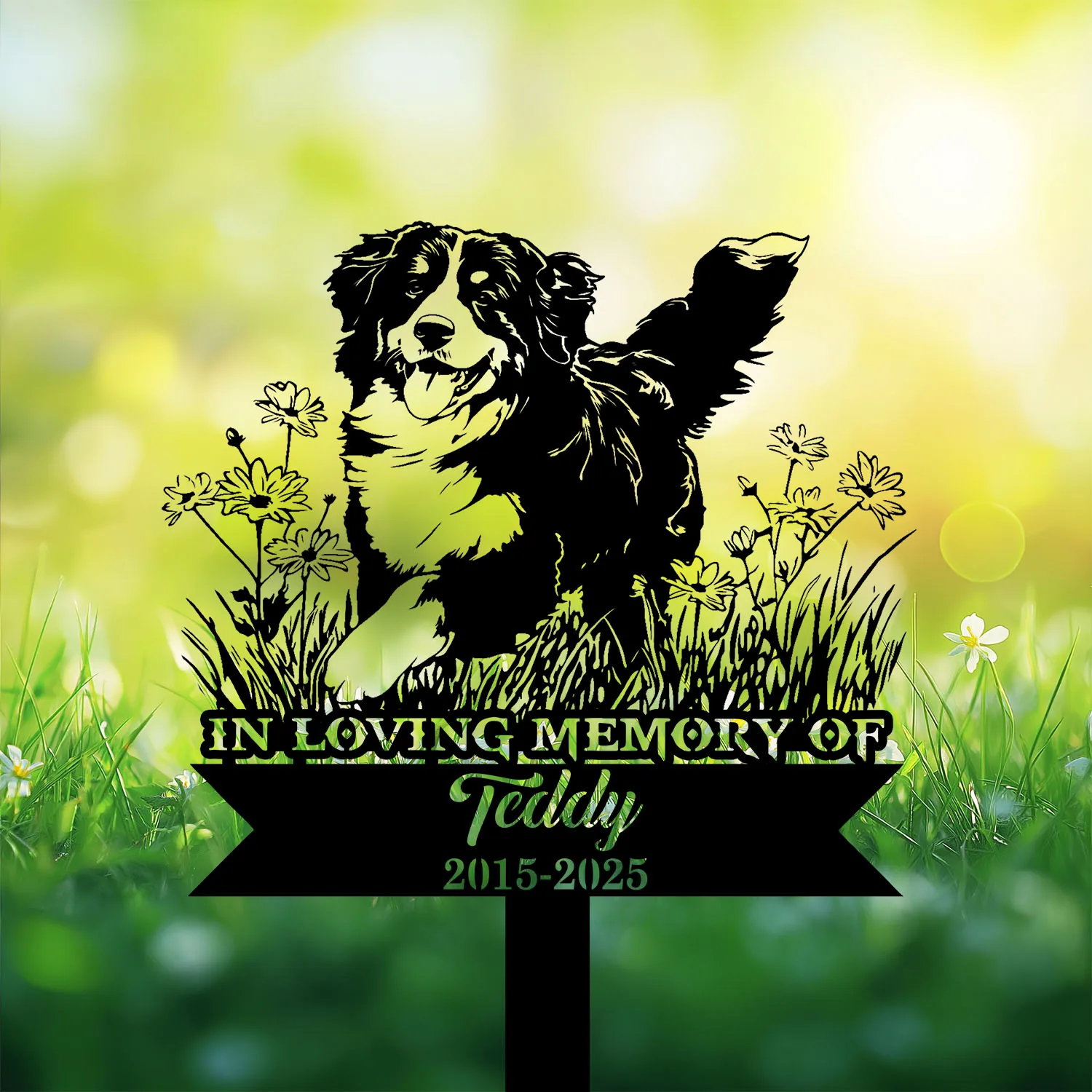 Bernese-Mountain-Playing-in-Garden-1 Black dog memorial garden stake with flowers reading “In Loving Memory of Teddy 2015-2025” in a grassy yard