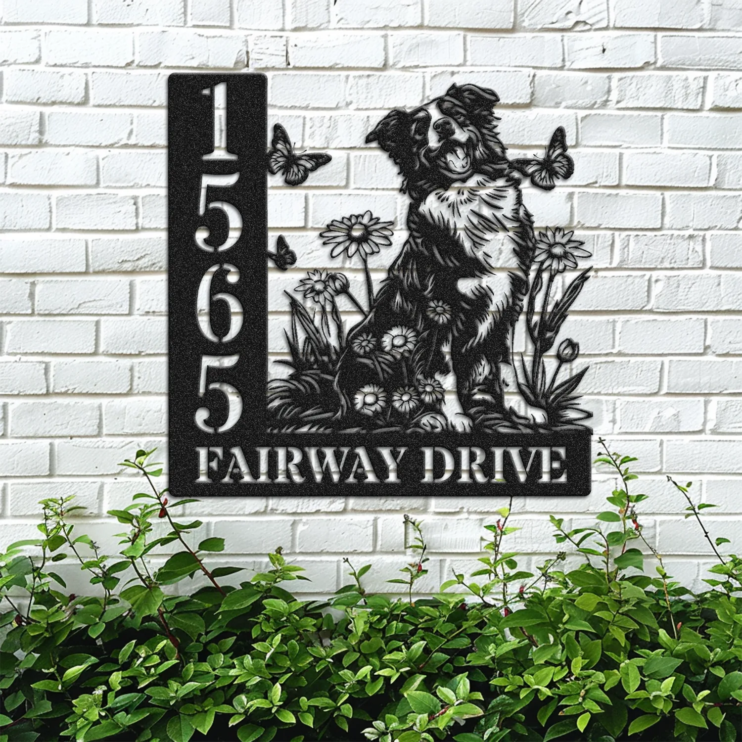 Border-Collie-Sitting-with-Butterfly-3 Black metal house sign mounted on a white brick wall showing address '1565' and text 'FAIRWAY DRIVE' with a happy dog, flowers and butterflies, green shrubs below