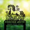 Style-18-dandelion-flowers-1 Black silhouette of a pony among grass and flowers with text cutouts reading "FOREVER LOVED" and placeholder "NAME 2012-2024" on a bright green bokeh background