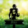 Silhouette of a football player wearing number 6 holding a helmet above a memorial sign reading "In Loving Memory of Jason 1990-2026" against a sunny grassy background with flowers