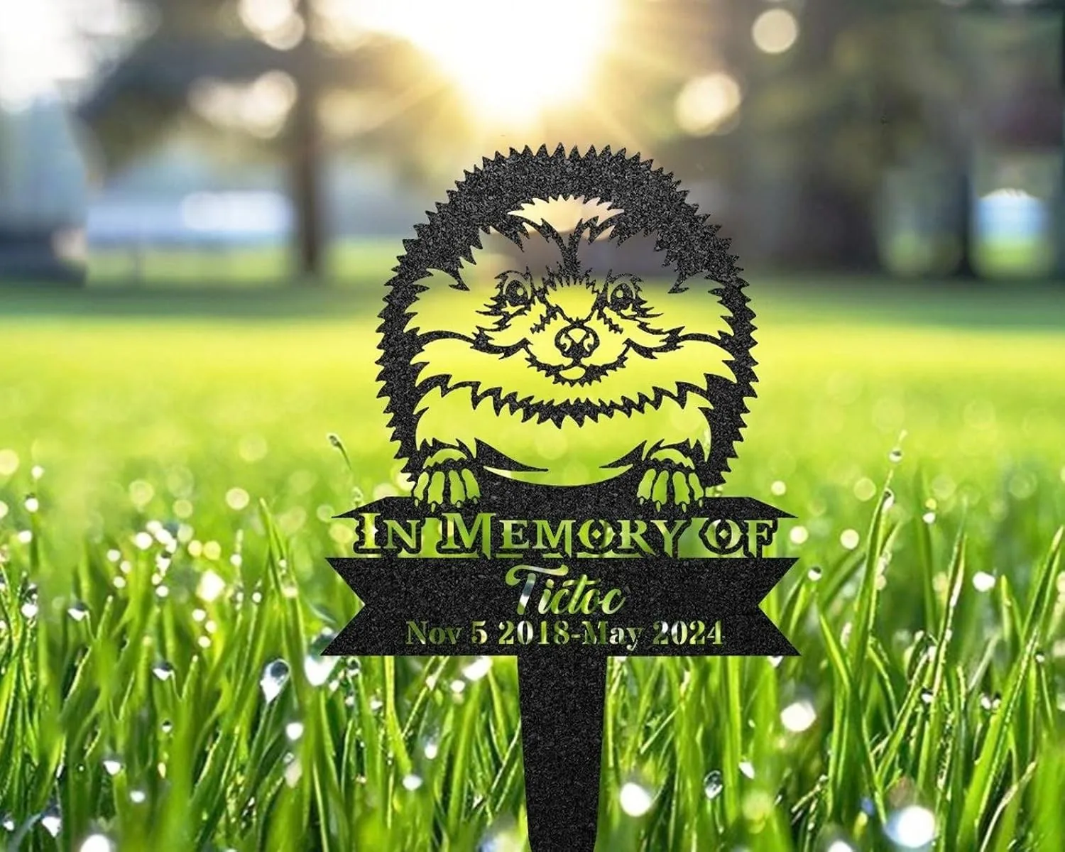 233-3 Black metal garden memorial stake shaped like a smiling fluffy dog with text “In Memory Of Tictac Nov 5 2018-May 2024” placed in dewy grass at sunrise