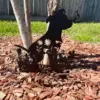 Black metal garden silhouette of a sitting dog with floral cutouts and a butterfly on its nose, staked in mulch at a tree in a sunny backyard